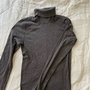 Everlane Pima-Rib Turtleneck